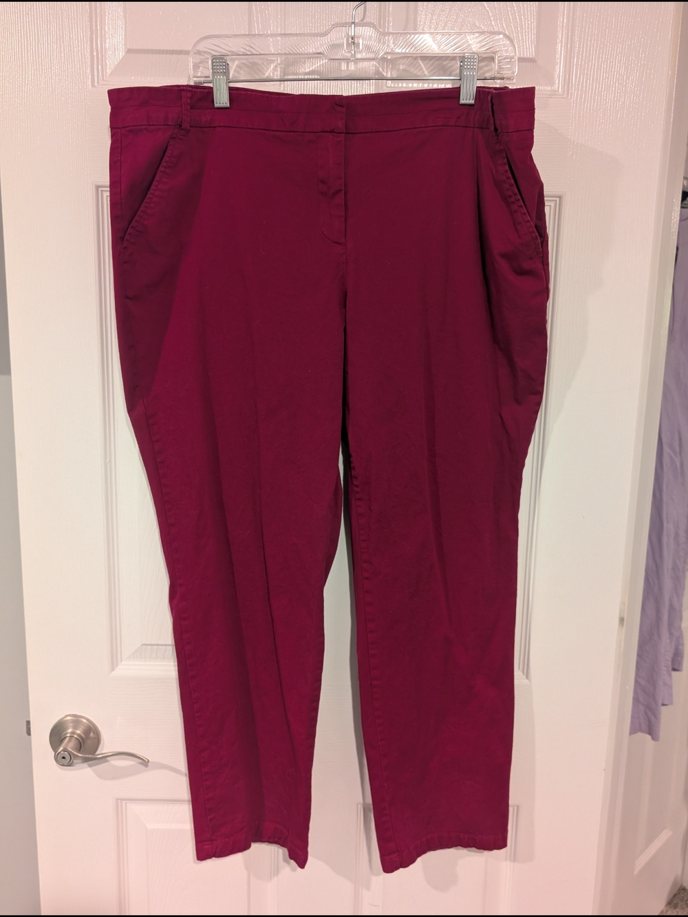 New York & Company Deep Berry Pink Chico Pants in Size 18